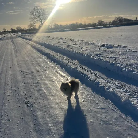 Apartment Vestergade B& B