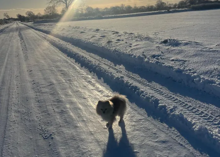 Apartman Vestergade B& B