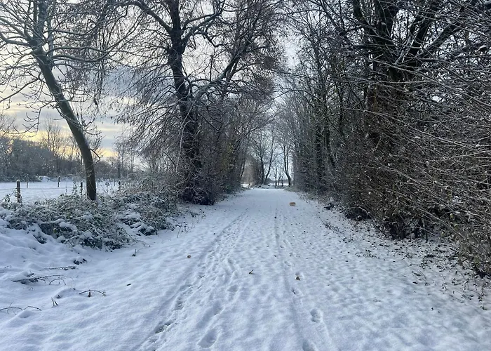 Vestergade B& B Padborg
