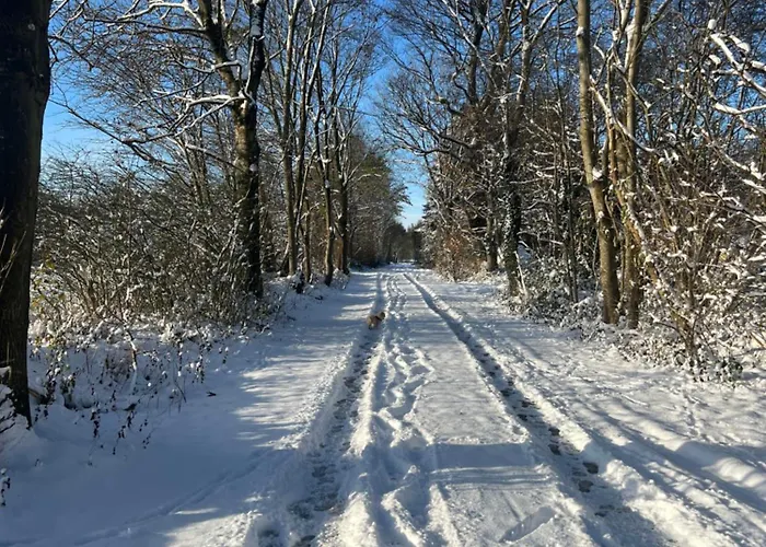 Vestergade B& B Apartman